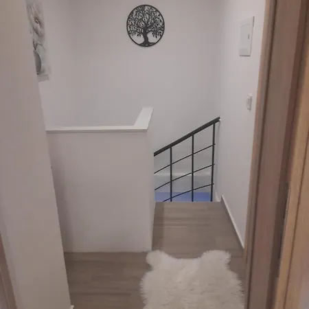 Apartment Damir Bibinje