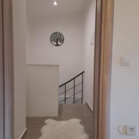 Apartment Damir Bibinje