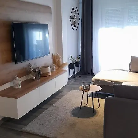 Damir Apartment Bibinje